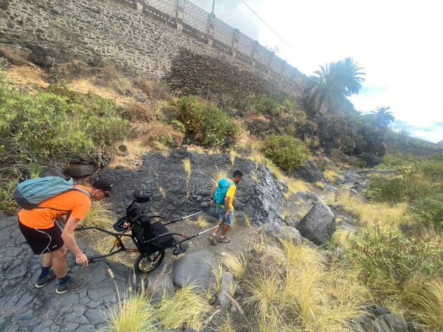 Reconociendo el terreno junto al muro de piedra